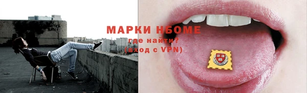 индика Бежецк