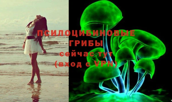 Альфа ПВП Абаза