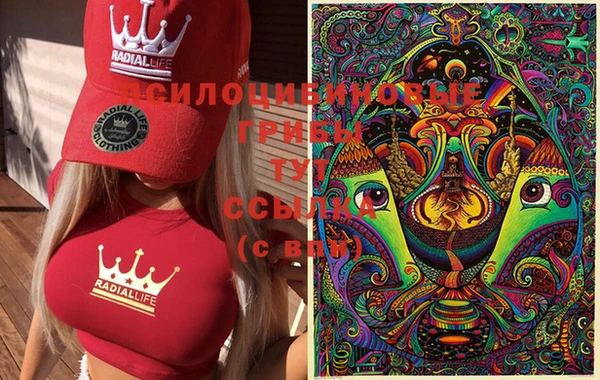 бошки Белая Холуница