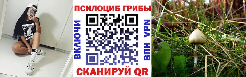 Галлюциногенные грибы мицелий магазин продажи наркотиков Юрга