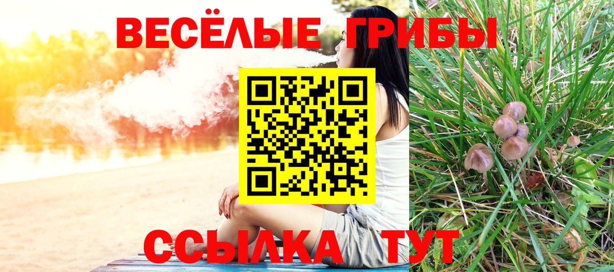 купить наркотик  Галлюциногенные грибы GOLDEN TEACHER  Вход с VPN  Юрга 